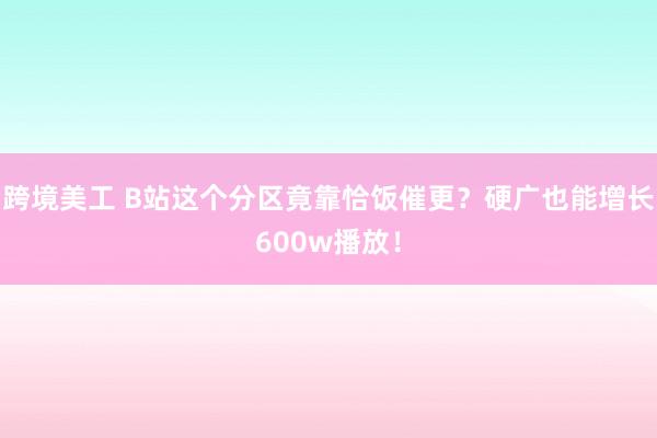 跨境美工 B站这个分区竟靠恰饭催更？硬广也能增长600w播放！