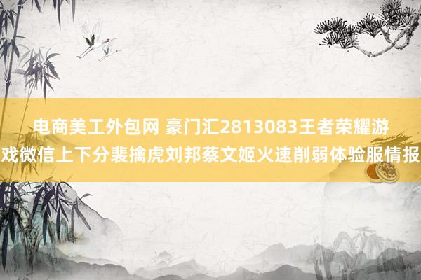 电商美工外包网 豪门汇2813083王者荣耀游戏微信上下分裴擒虎刘邦蔡文姬火速削弱体验服情报