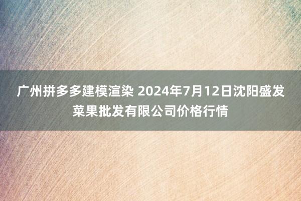 广州拼多多建模渲染 2024年7月12日沈阳盛发菜果批发有限公司价格行情