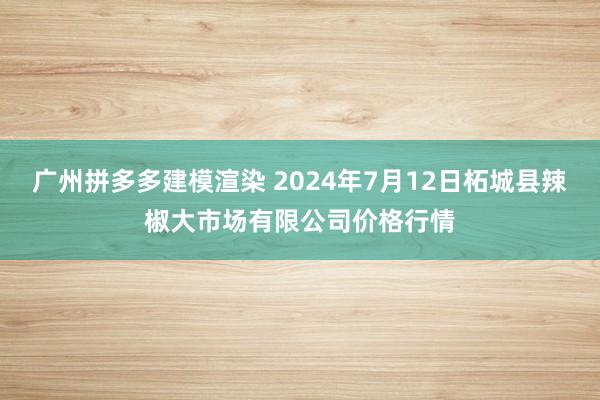 广州拼多多建模渲染 2024年7月12日柘城县辣椒大市场有限公司价格行情