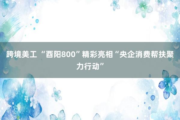 跨境美工 “酉阳800”精彩亮相“央企消费帮扶聚力行动”