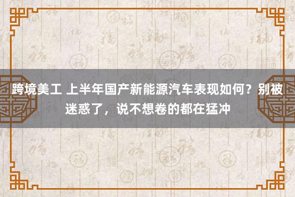 跨境美工 上半年国产新能源汽车表现如何？别被迷惑了，说不想卷的都在猛冲