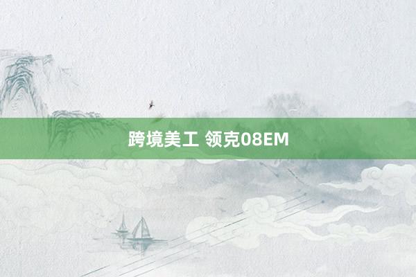 跨境美工 领克08EM